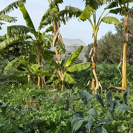 빌라 Maulli Relais 마리나디라구사