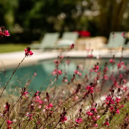 Villa Maulli Relais